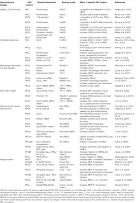 Potential Role of Protein Kinase C in the Pathophysiology of Diabetes-Associated Atherosclerosis